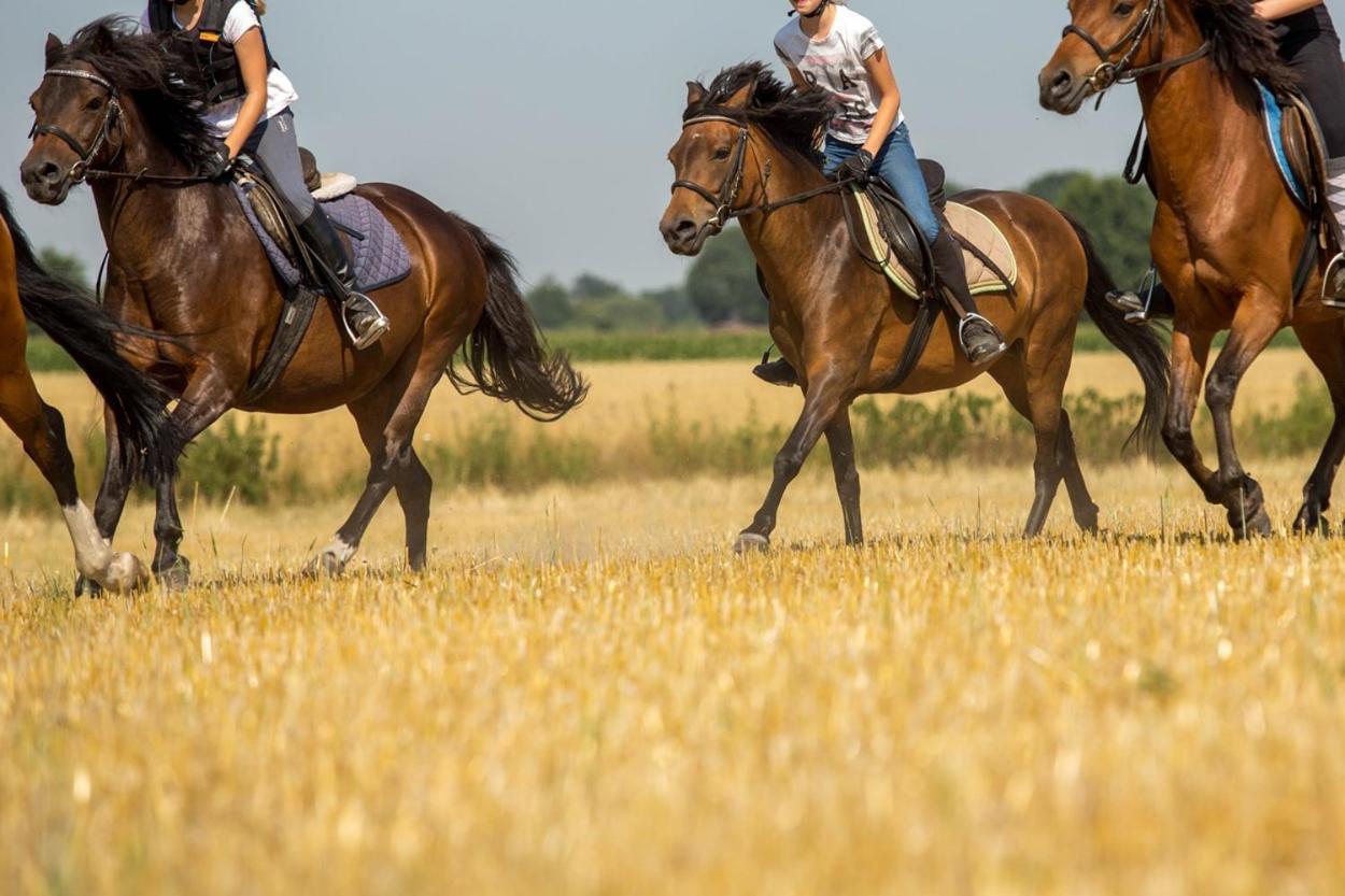 Ferienwohnungen Georgenbruch Everswinkel Bagian luar foto