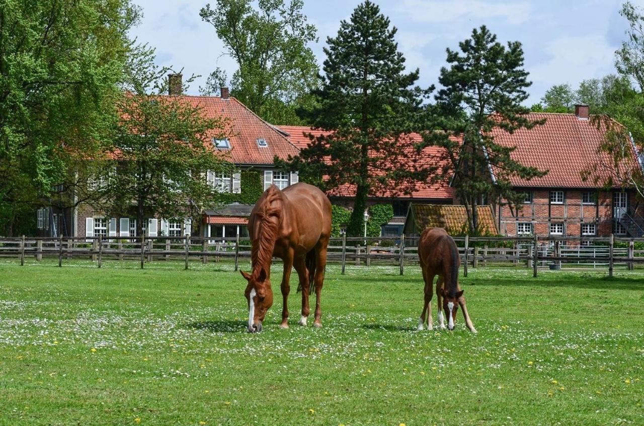 Ferienwohnungen Georgenbruch Everswinkel Bagian luar foto