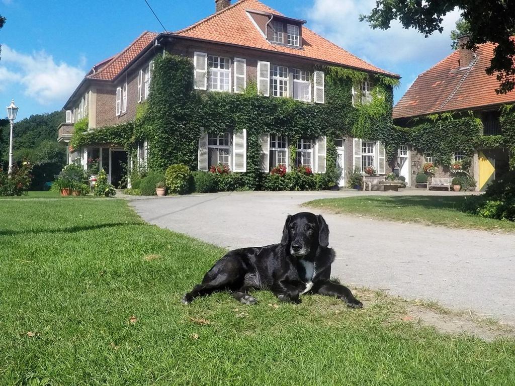 Ferienwohnungen Georgenbruch Everswinkel Bagian luar foto